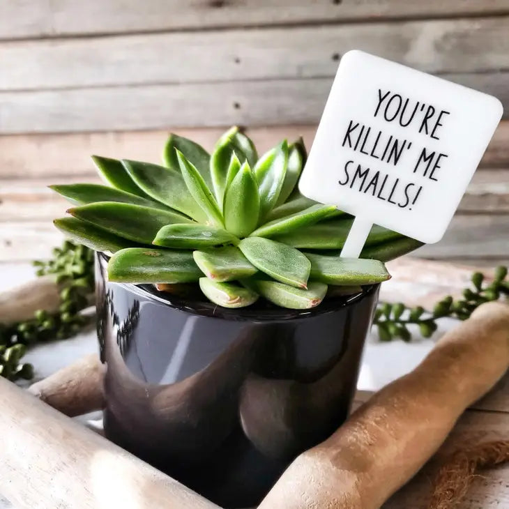 You're Killin' Me Smalls Plant Marker