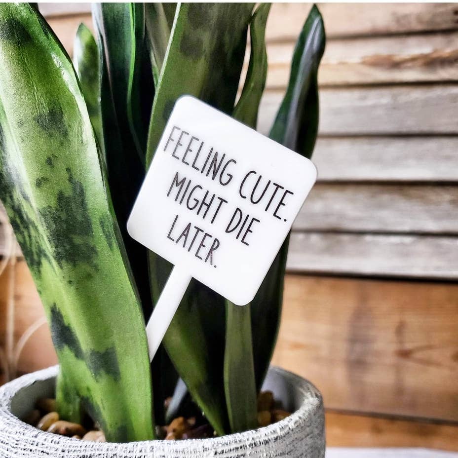 Feeling Cute, Might Die Later Plant Marker