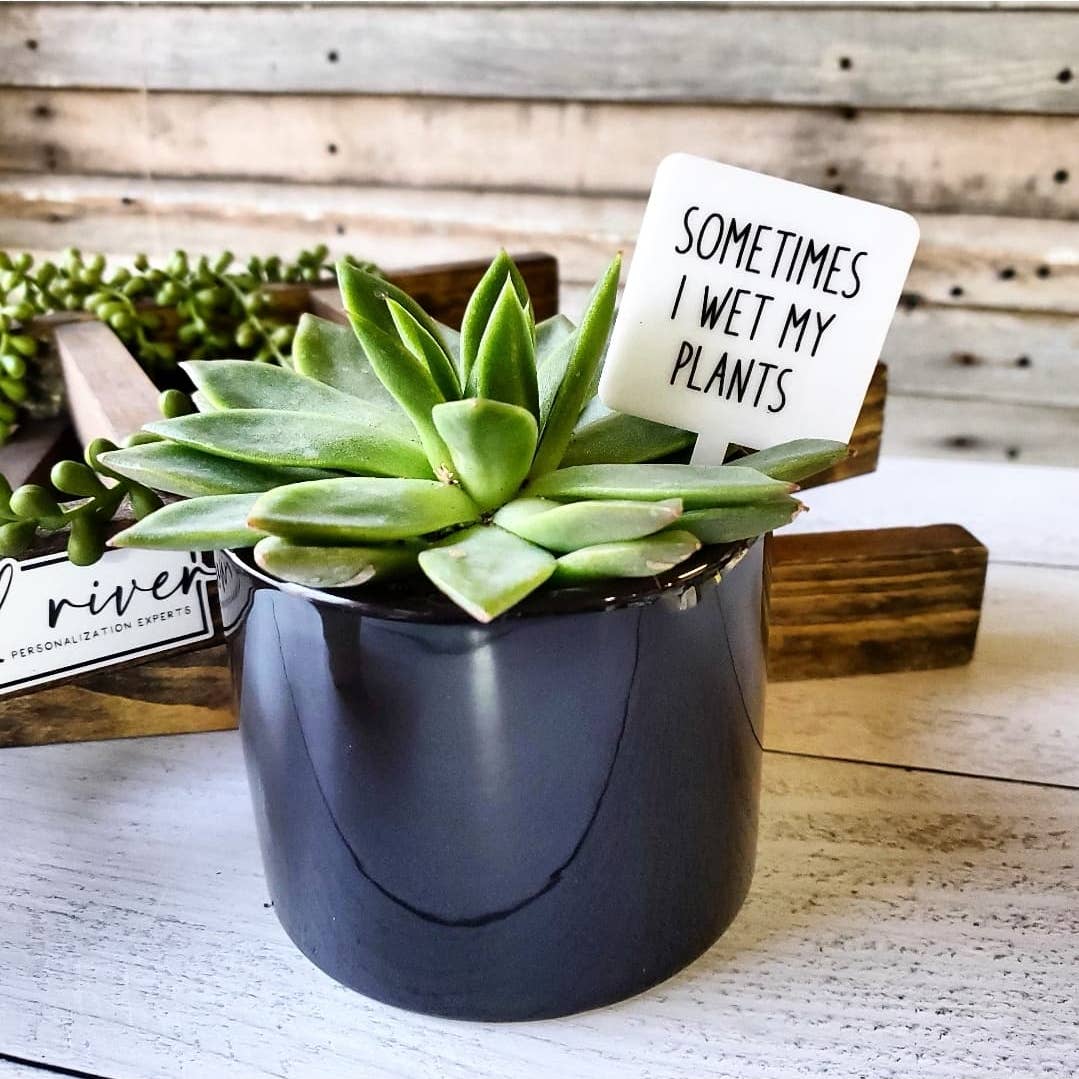 Sometimes I Wet My Plants Plant Marker