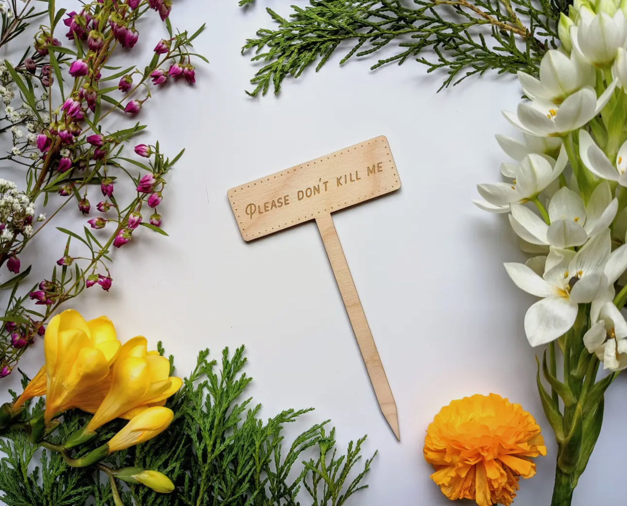Please Don’t Kill Me Plant Marker