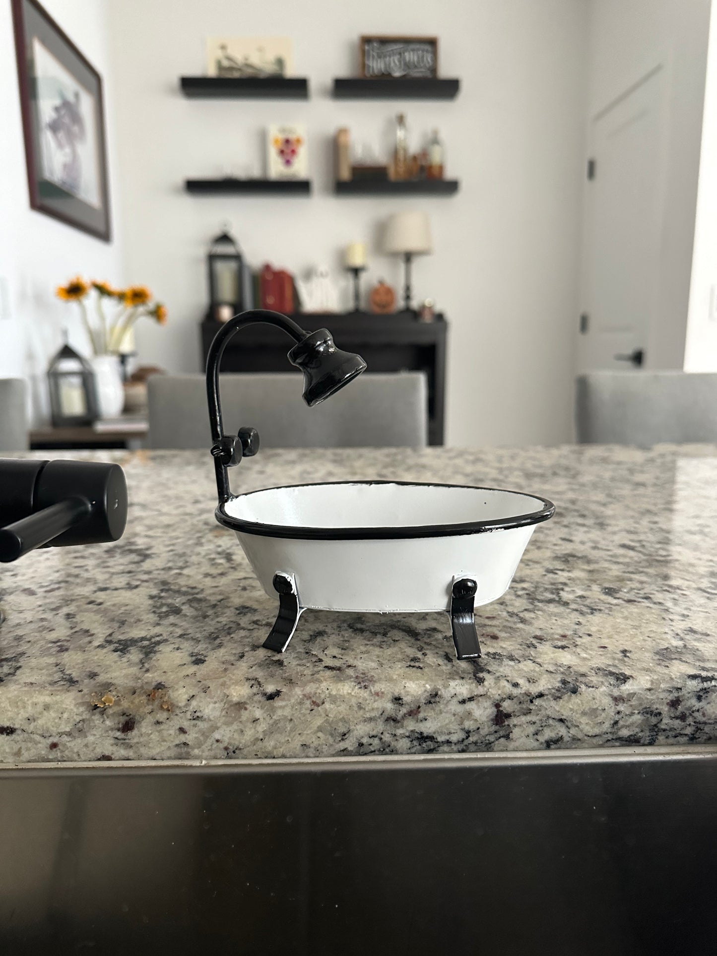 Black & White Bathtub Soap Dish