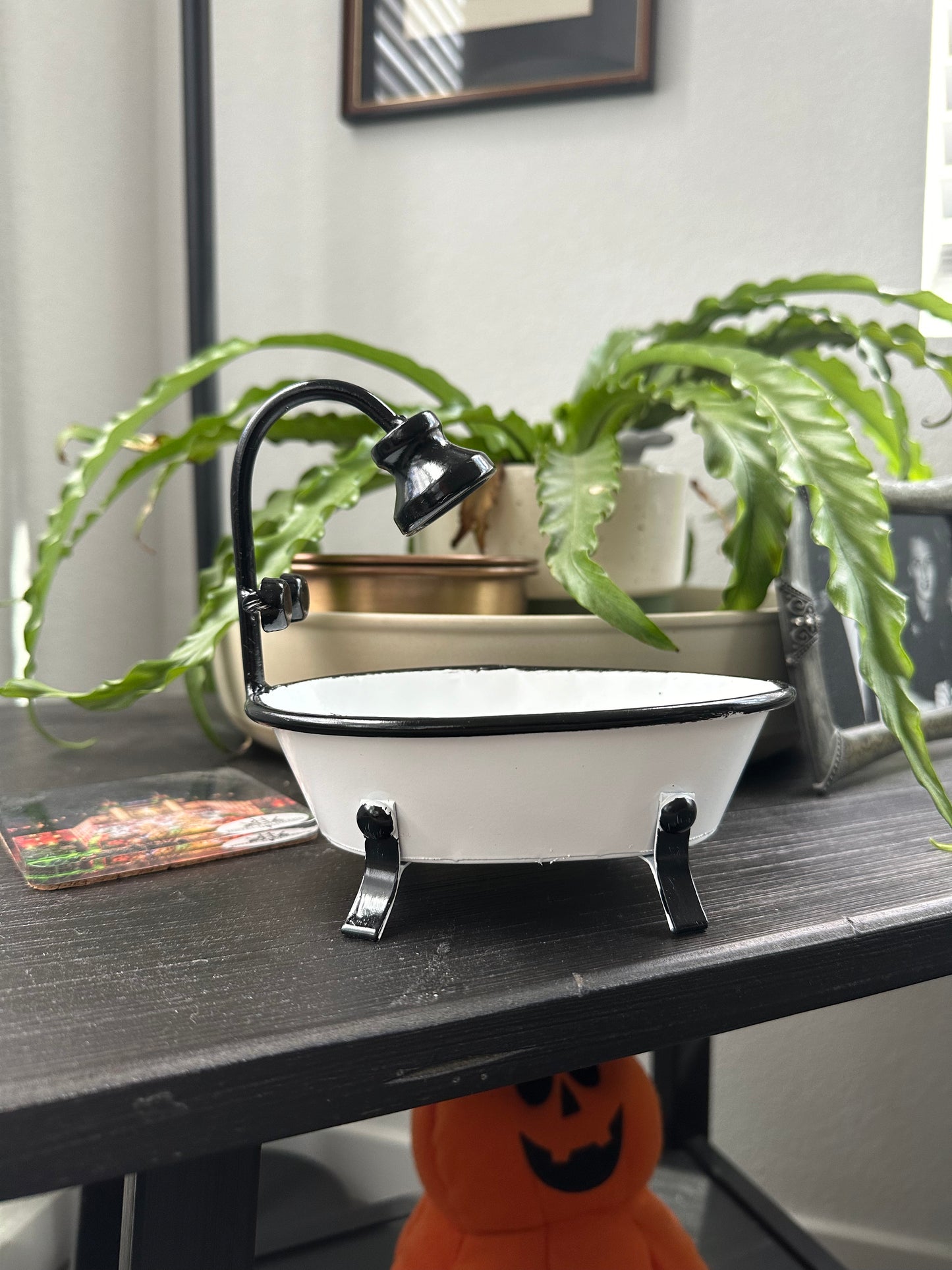 Black & White Bathtub Soap Dish