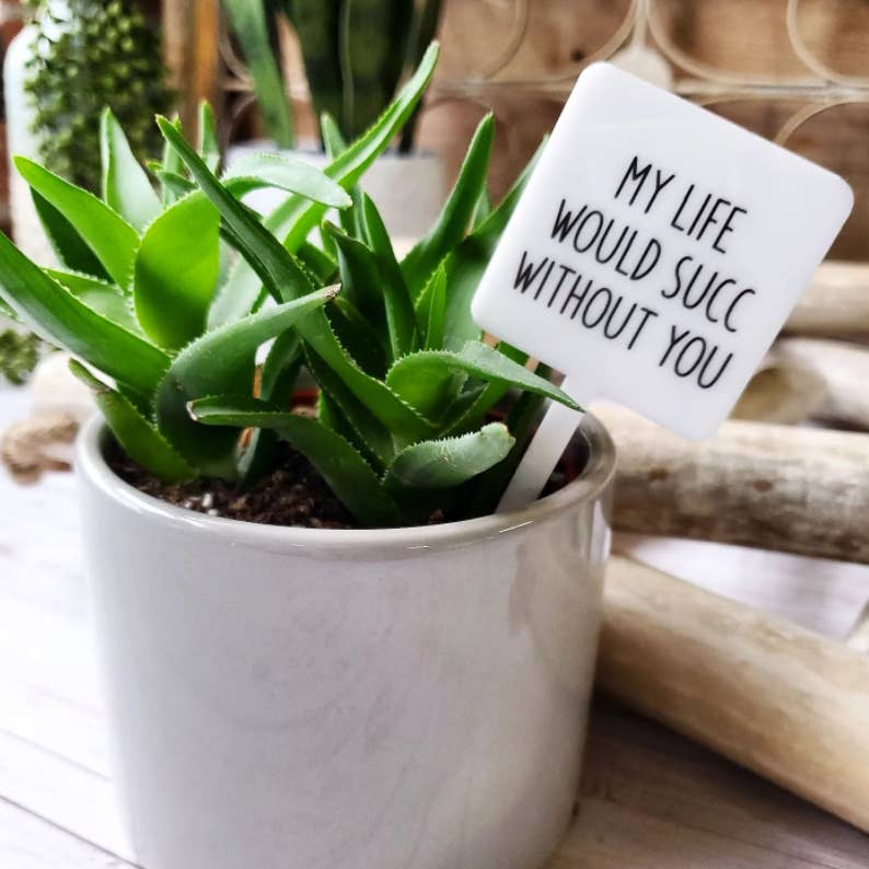 My Life Would Succ Plant Marker