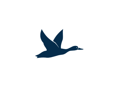 Goose Farms Dry Goods logo